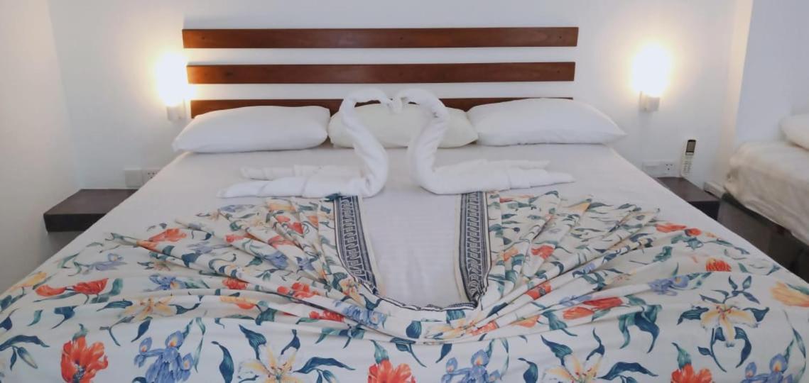 Petit Guest House Negombo Eksteriør bilde